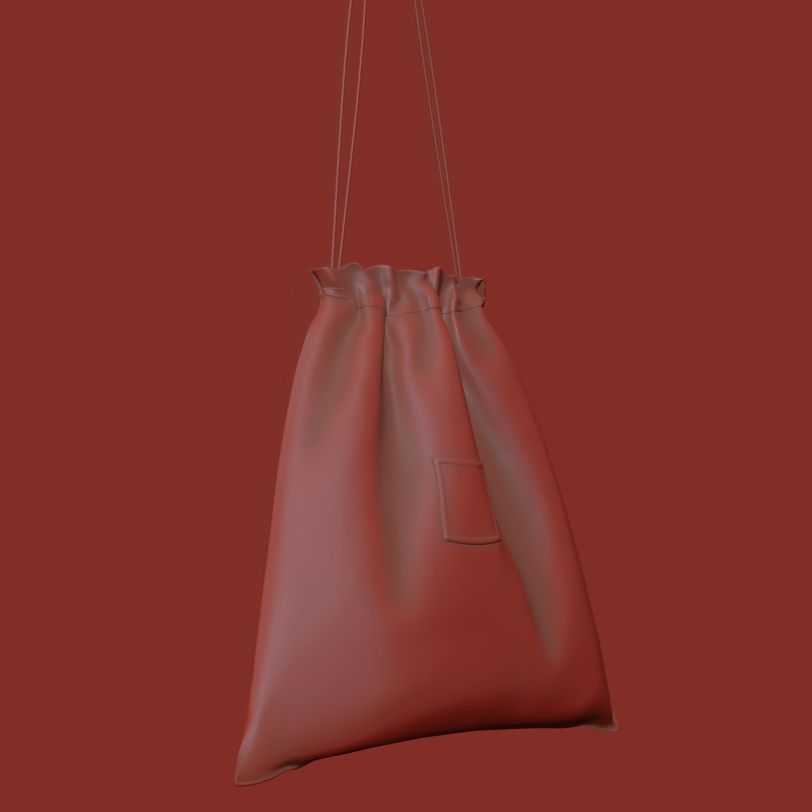 Sac de chaussure 3D modèle
