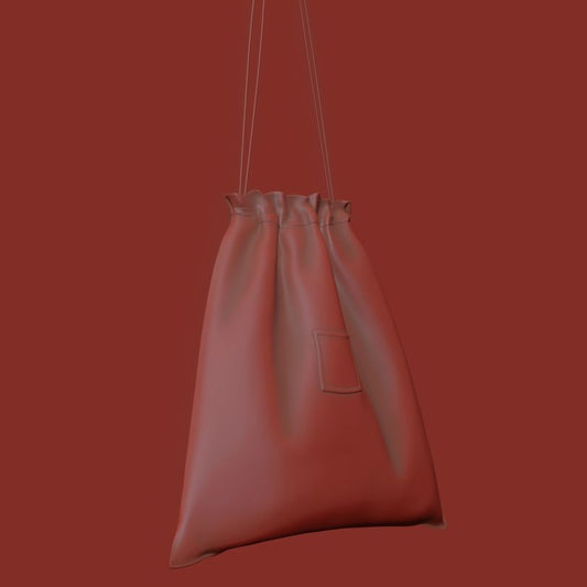 Sac de chaussure 3D modèle